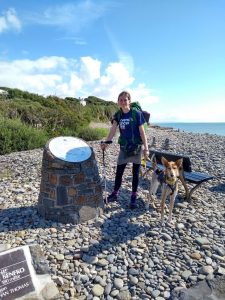 Jo & Hoddles – Ultimate Dog Walk